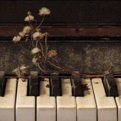 picture of an overgrown piano