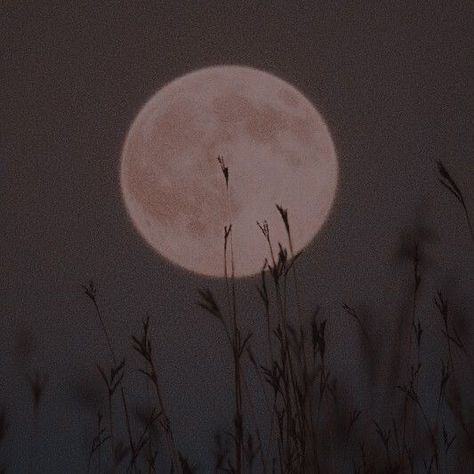 picture of the moon in a weed farm